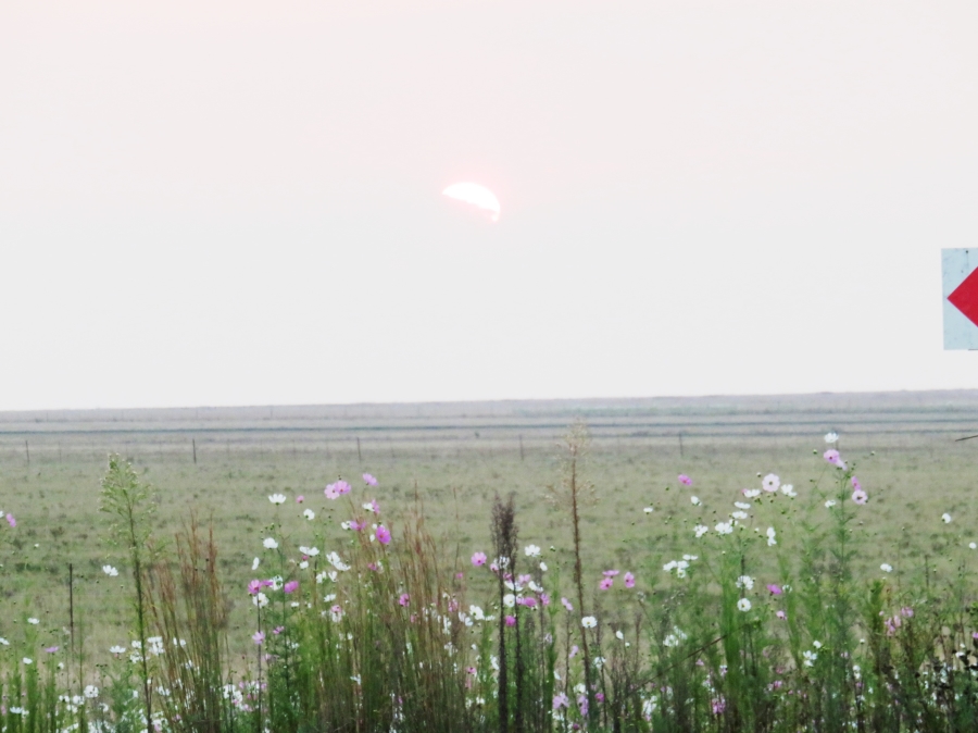 0 Bedroom Property for Sale in Oranjeville Free State